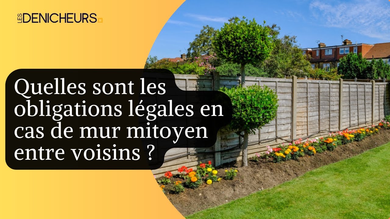 🧱​⚖️Quelles sont les obligations légales en cas de mur mitoyen entre voisins ? 💁🏻