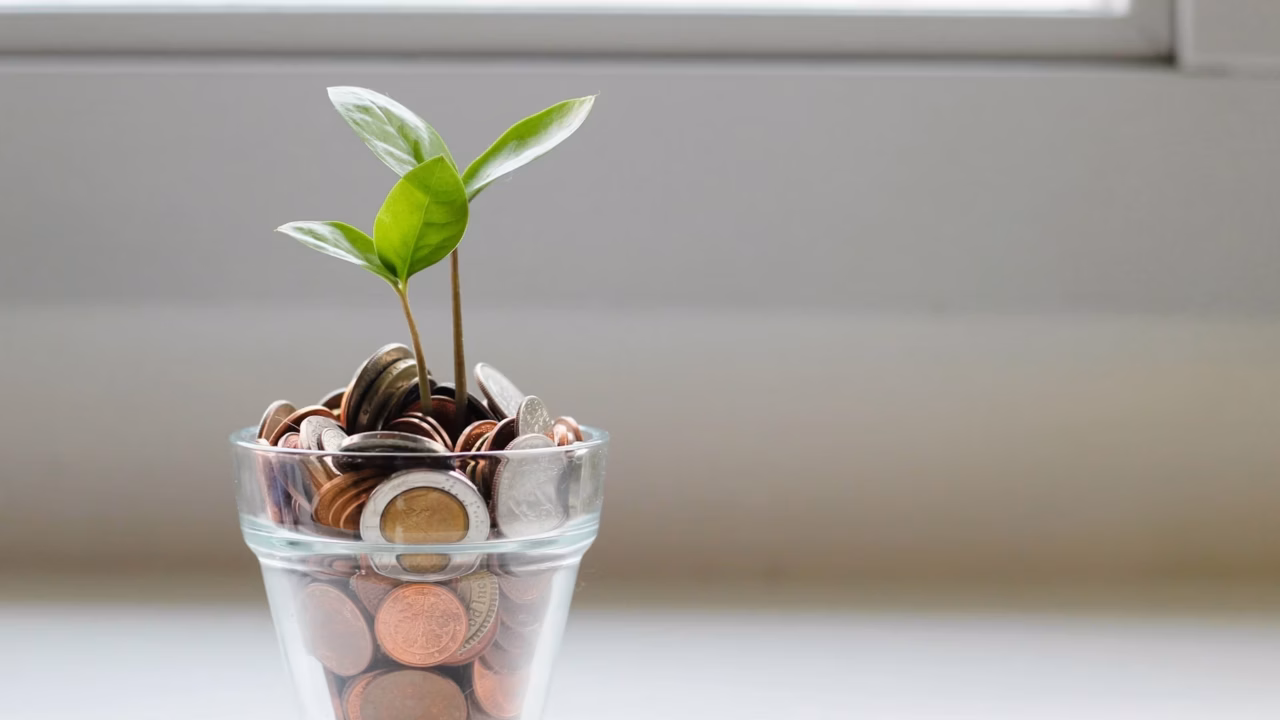 TVA en micro-entreprise : à partir de quand faut-il facturer ?