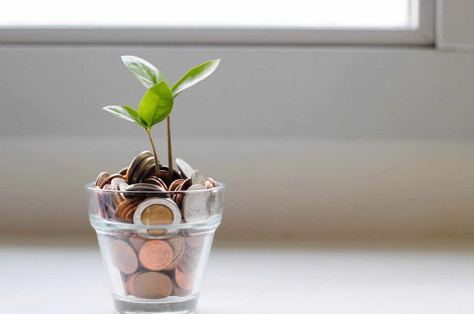 TVA en micro-entreprise : à partir de quand faut-il facturer ?